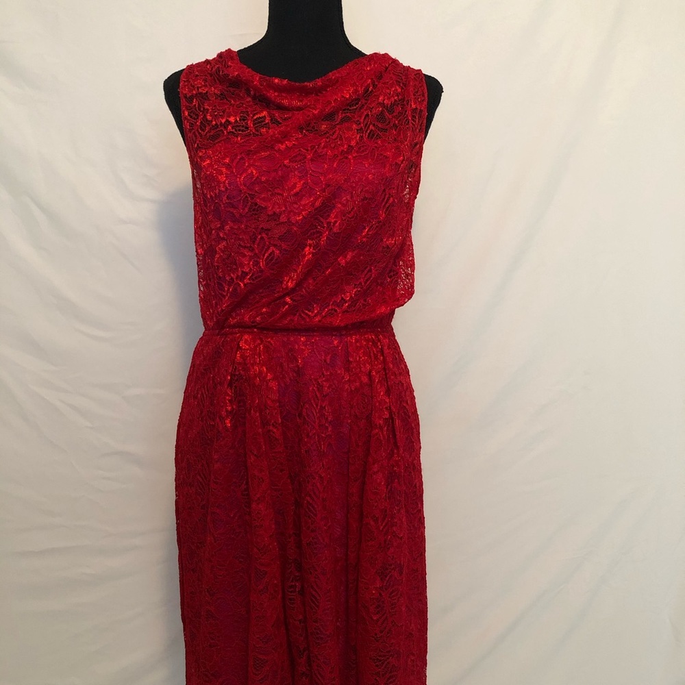 Limited, Red Lace Dress, Satin Lined, Size 4, NWTS